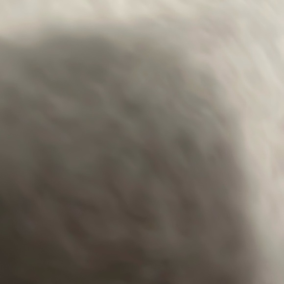 Meet your Posher, Robbie - Picture 1 of 1